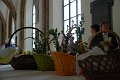 wt_2011 (64)